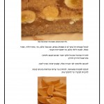 תאמינו לי שרגל קרושה זה לא מה שחשבתם. זה טעים מאד מאד