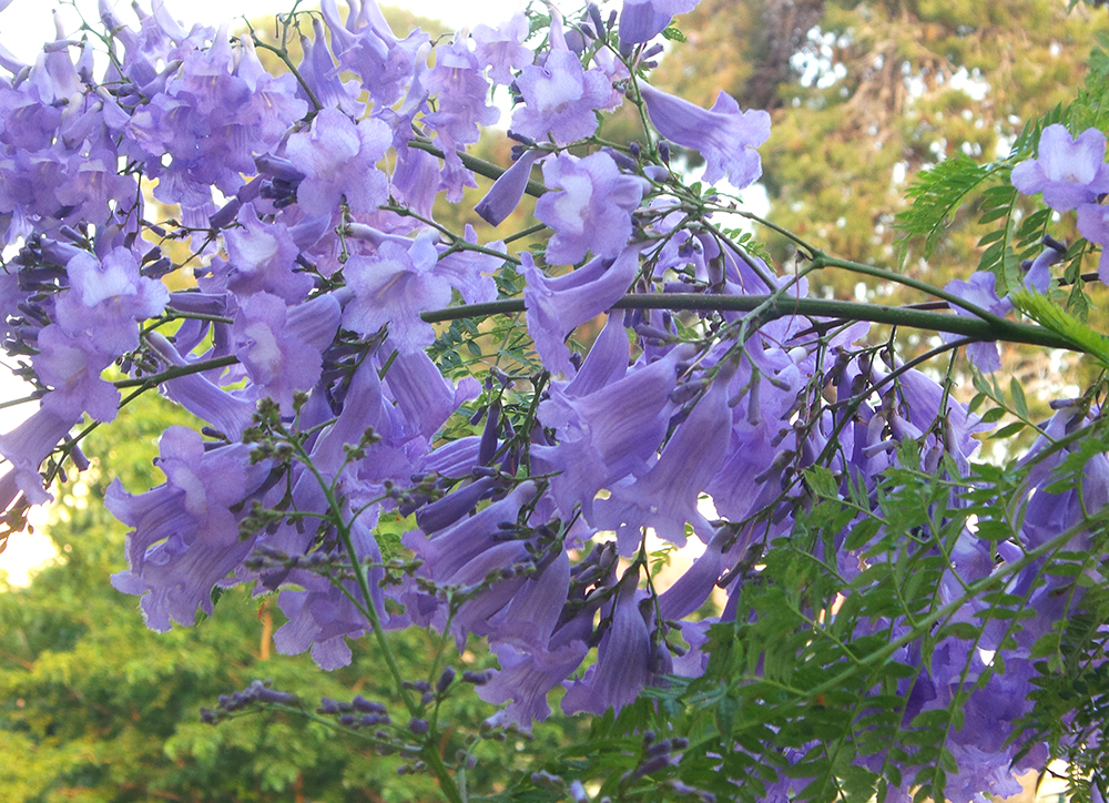 20150523_185706